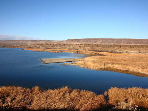 Lenice lake