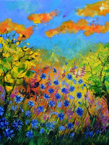 Blue cornflowers 2