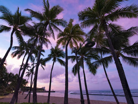 Waikiki sunrise