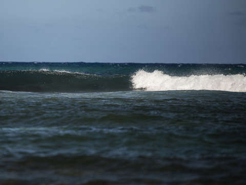 Ride the wave 3