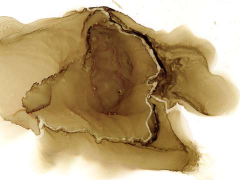 Vein 2