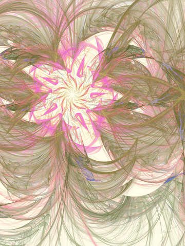 Plumage bloom 10943