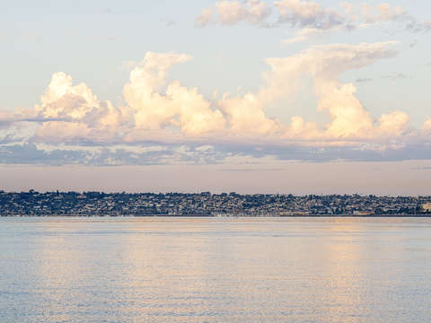 Hovering over the harbor
