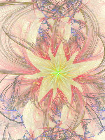 Plumage bloom 10944