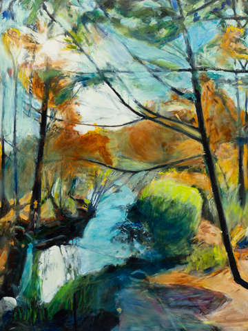 View from binnen bridge and falls in prospect park