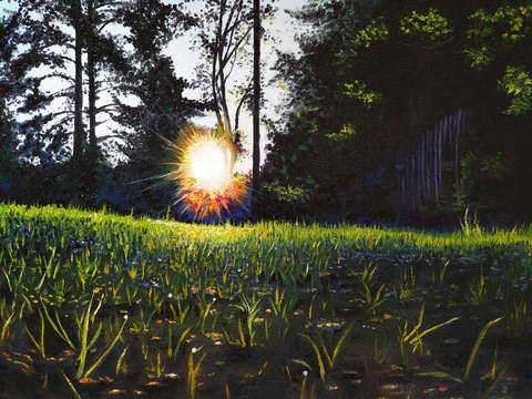 Morning in the backyard