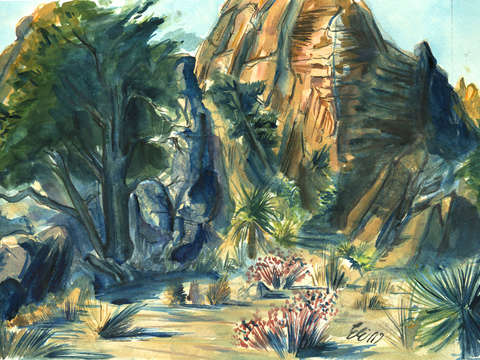 Hidden valley i joshua tree national park californ