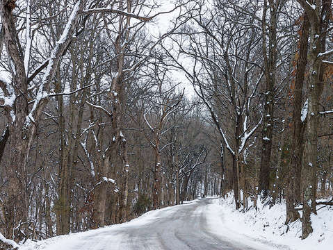 Ozark snow covered road painterly
