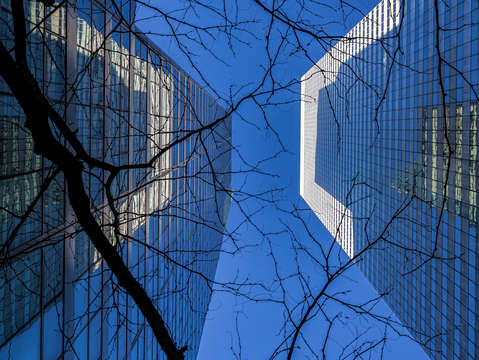 Office buildings and winter tree