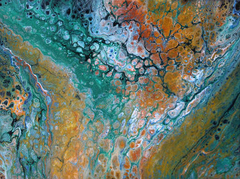 Mossy riverbed
