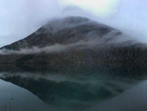 Foggy reflections