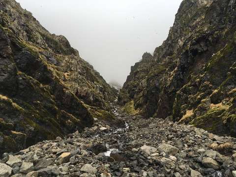 Wingidelf canyon