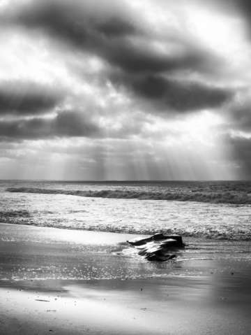 Stone in solitude