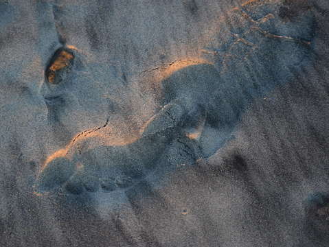 Coming and going 2