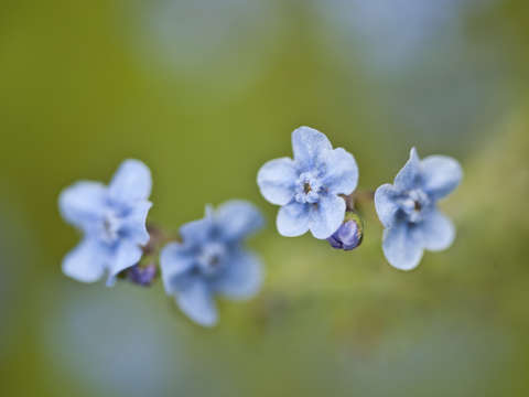 Airy blues
