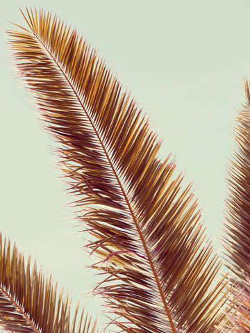 Impression 2