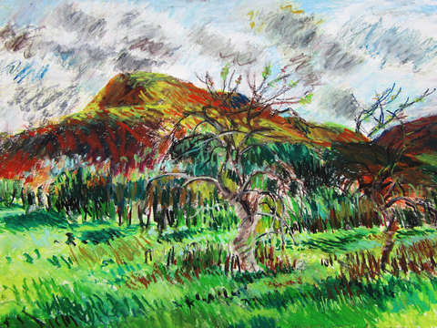 Mt norwottuck and apple trees holyoke mountain r 2