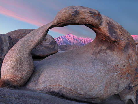 Mobius and whitney at dawn