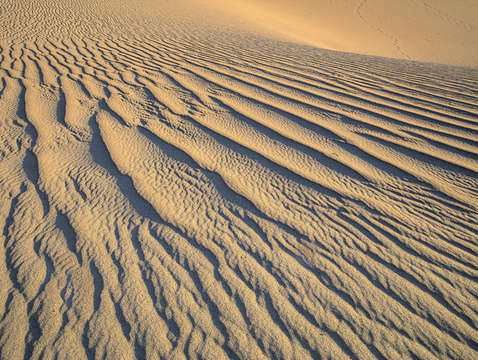 Ripple 3
