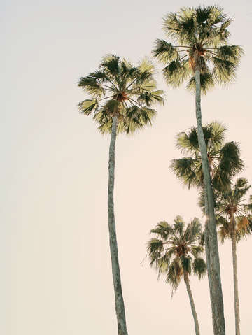 Great heights