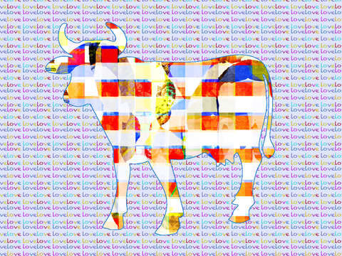 Texas cows