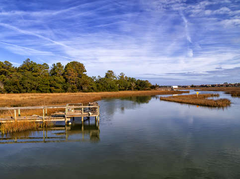 Salt marsh 4