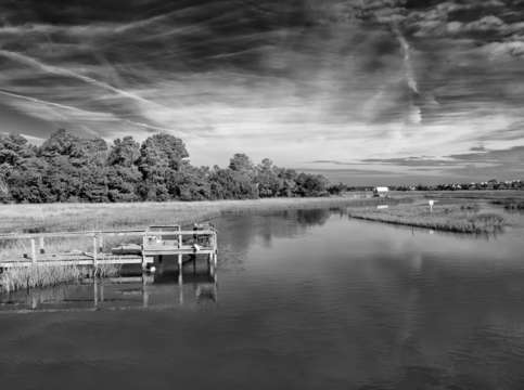 Salt marsh black white