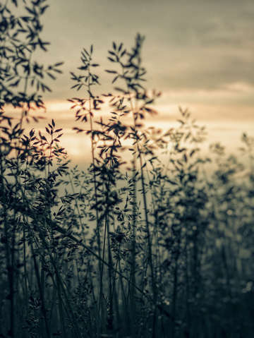 Airy