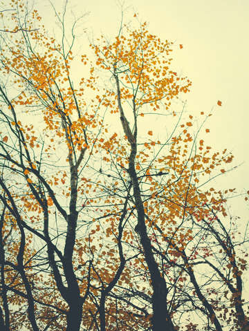 Unfold color
