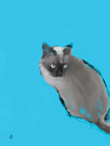 Kuki