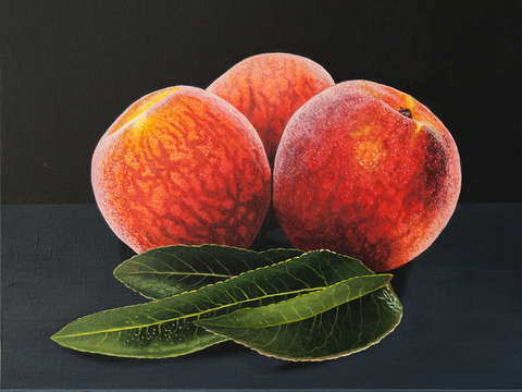 Peaches and leaves
