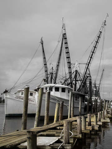 Path of a shrimper