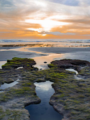 Reef reflection