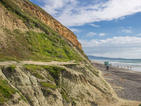 Torrey pines state beach
