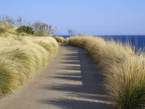 Walkway to beach