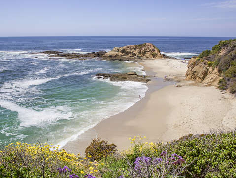 Laguna cove spring day