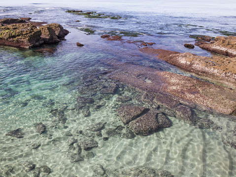 La jolla reef