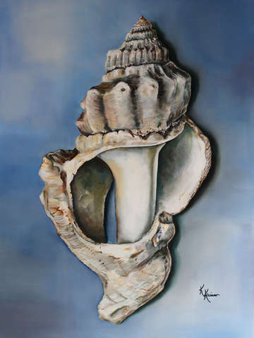 Broken seashell