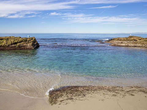 La jolla morning 2