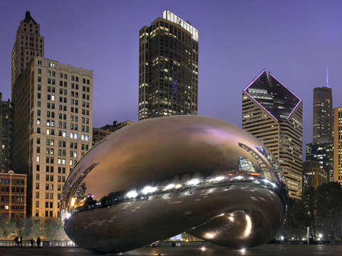 Chicago bean