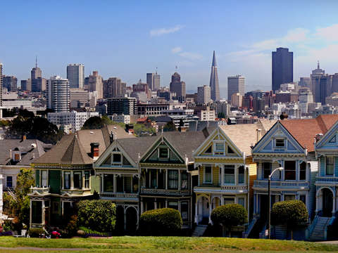 The painted ladies
