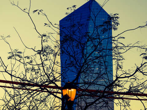 The trees 2
