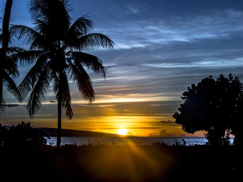 Maui sunburst