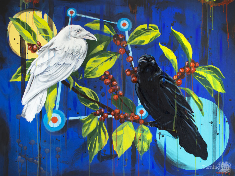 Ravens