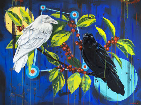 Ravens