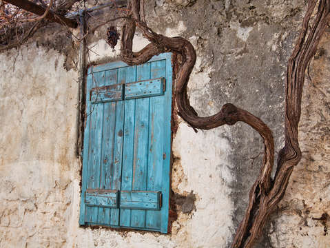 A grapevine wraps around a doorway krista crete gr
