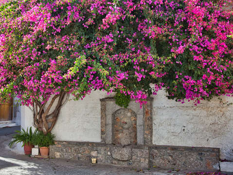 Krista crete fountain with flowers