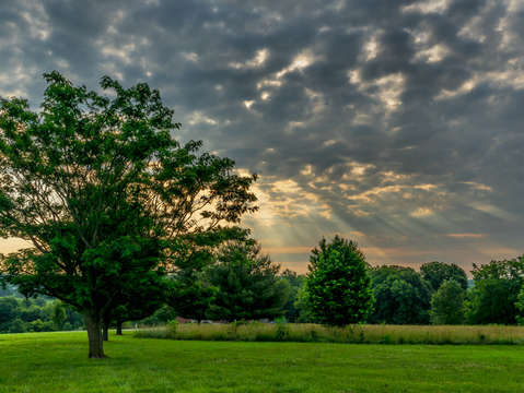 Good morning ozark