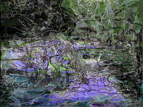 Rock in the pond