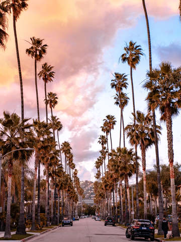 Beverly hills